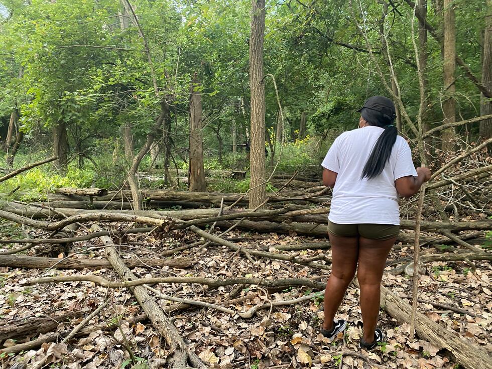 Volunteers search the surrounding wooden area behind Hunter's Ridge Apartments.