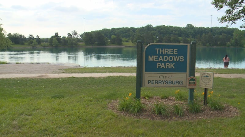 Volunteers are needed for the annual spring cleanup in Perrysburg parks.