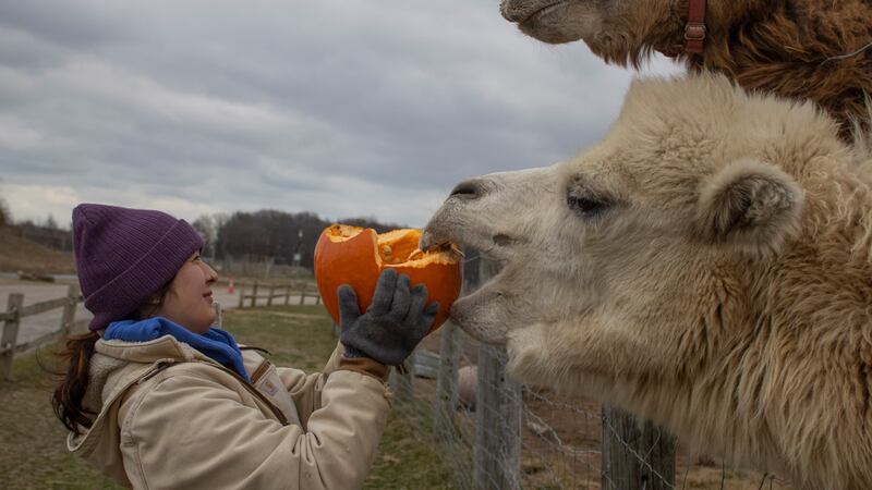 African Safari Wildlife Park hosting Pumpkin-Palooza