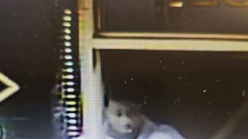 Deputy Sheriff Danielski is seeking the help of the local community in identifying a suspect...