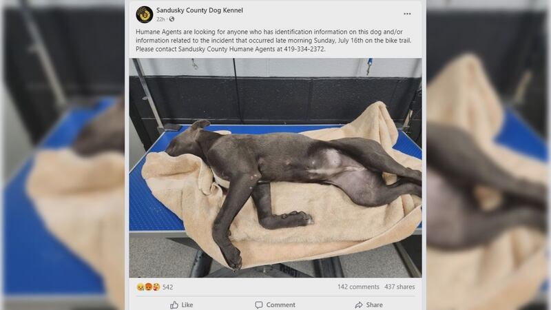 The Sandusky Co. Dog Warden posted this picture of a dog who apparently died at the hands of...