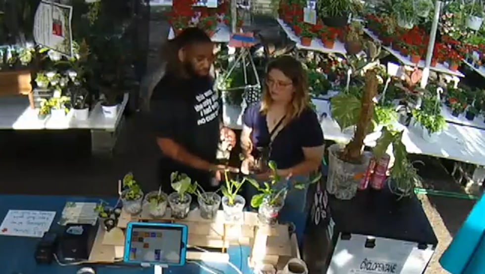 Greenhouse catches plant thieves on security cameras: Needs help identifying the crooks