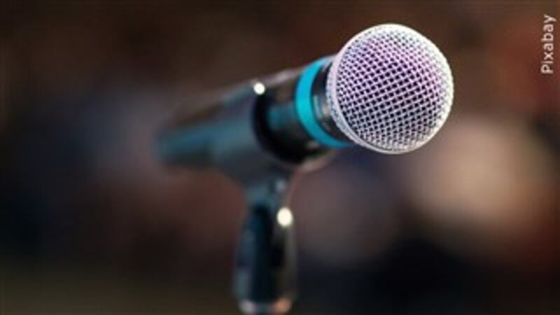The festival will bring over 50 artists and 14 music performers along Sylvania’s Main Street...